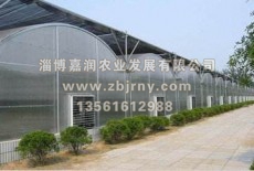 多肉植物棚廠家分享：多肉在園林的應用